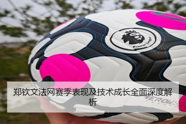 郑钦文法网赛季表现及技术成长全面深度解析（Sports）